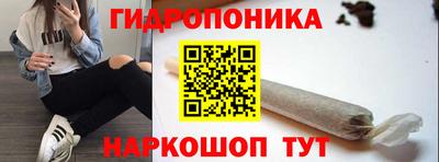 Альфа ПВП Нальчик