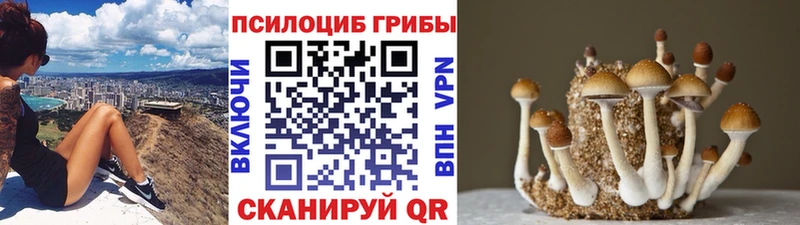 Галлюциногенные грибы мухоморы  Шарыпово 