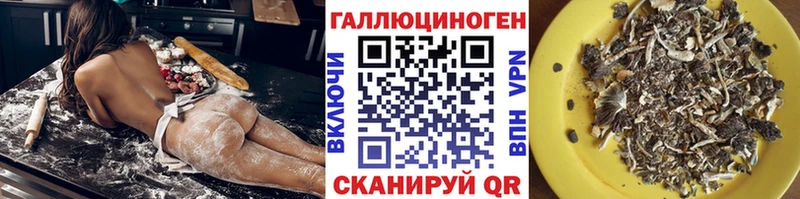 Псилоцибиновые грибы Psilocybine cubensis Шарыпово