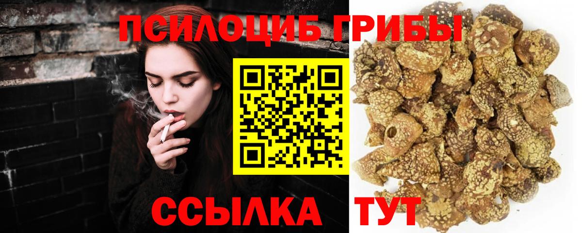 Шарыпово  Псилоцибиновые грибы Psilocybe  Вход с VPN  Галлюциногенные грибы мицелий 